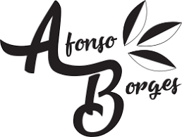 Casa Afonso Borges - e-berich