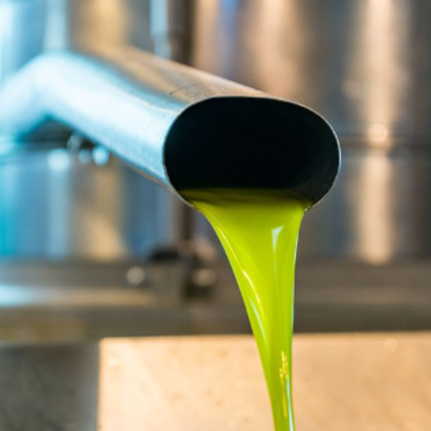 Olio d'oliva extra vergine biologico "Rosmaninho" DOP 500ml – Portogallo